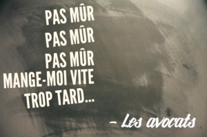 les étapes de la vie d'un avocat