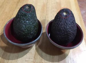 selectionner un avocat