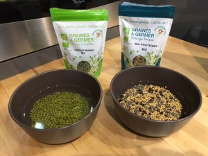 présentation d'un côté des graines de haricots mungo et de l'autre du mix protéiné de germline, les graines c'est la vie pour commencer le procesus de germination