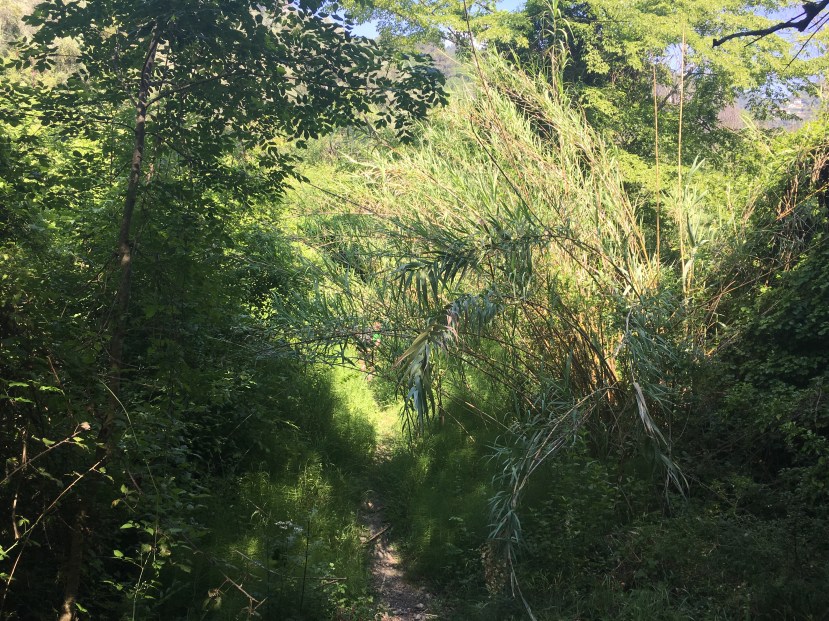 mini-rando-baignade_gilette_pont-de-la-cerise_alpes-maritimes_06_nice_09