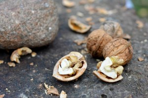 noix_santé_superfood_super aliment_manger équilibré