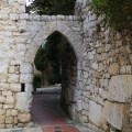 img_0263