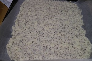 pizza-healthy_sans-farine_015