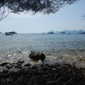 journée nature aux îles de Lerins_happyhealthysimply_09