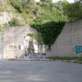 IMG_5878