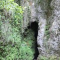 IMG_5881