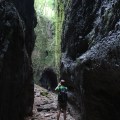 IMG_5883