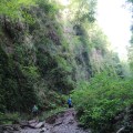IMG_5889