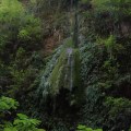 IMG_5891