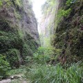 IMG_5899