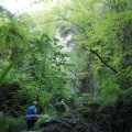 IMG_5901